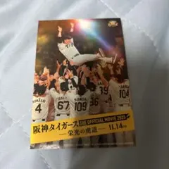 阪神タイガース2025