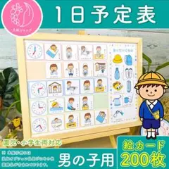 １日予定表 男の子用　お支度ボード スケジュール表カレンダー 絵カード200枚分