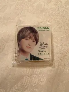 EBiDAN THE LIVE 2026 sakurashimeji田中雅功