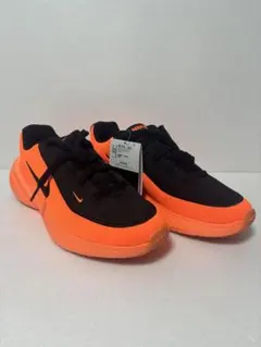 NIKE Phylon Cushion IB2765-004　新品タグ付き