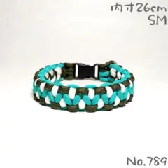 Item thumbnail for item 64f71d5d-5009-48ec-a8e8-747892abaa6c