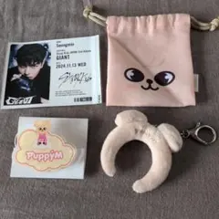 2025年最新】stray kids スンミンの人気アイテム - メルカリ