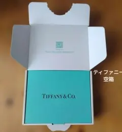 ティファニーTiffany & Co.オンライン限定 配送用空箱内箱・緩衝材付き