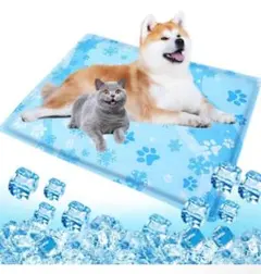 Item thumbnail for item 628bffdd-5559-448a-9f82-a30d1c420984