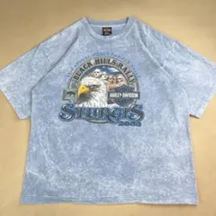 00s ハーレーダビッドソン Tシャツ ライトブルー タイダイ イーグル usa