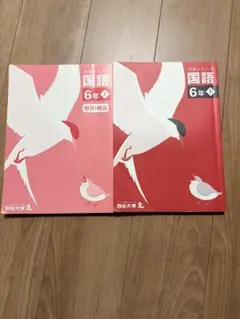 四谷大塚 開成への国語 2026年受験 学校別予習シリーズ　6～14回　計9回 bd04dsc00453_r.jpg