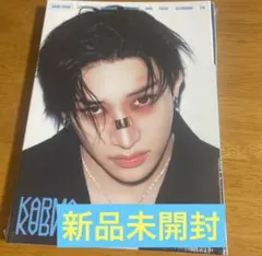 straykids スキズ KARMA バンチャン アコーディオン