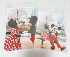 ディズニー ミッキーミニー ポストカード 写真