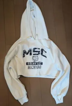 Item thumbnail for item d3d41f9f-99bd-4fc8-b513-78c33efaf17b