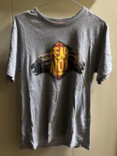 UNDER ARMOR Tシャツ グレー