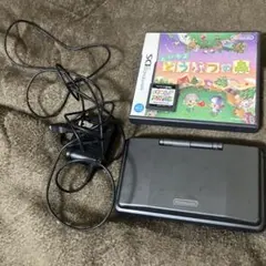 ニンテンドーDS本体 充電器付き　どうぶつの森　ソフト2本　難あり