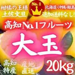 117.高知特産 露地栽培 土佐文旦 4L限定 文旦 約20kg 大玉 サイズ 