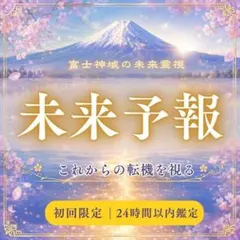❁1日1名様限定❁止まった現実を視る｜恋愛・仕事・金運・子宝・復縁