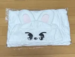 2025年最新】skzooブランケットの人気アイテム - メルカリ