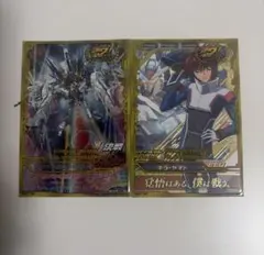 ガンダムトライエイジ キラ・ヤマト ストライクフリーダムガンダム