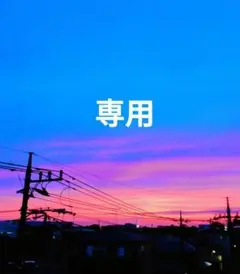 nanaさま専用　ウォッシュキャスケット ベージュ 大人　フリーサイズ