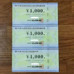 ビックカメラ 株主優待券 3000円分
