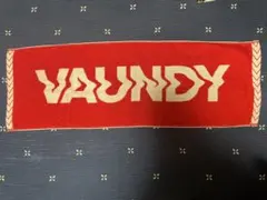2026年最新】vaundy タオル レッドの人気アイテム - メルカリ
