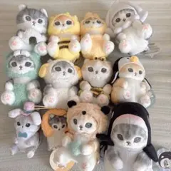ヒツジの着ぐるみ 猫 ぬいぐるみ セット5個セット - メルカリ