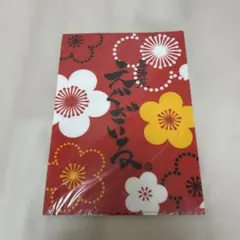 EXILE 花柄クリアファイル 2枚セット