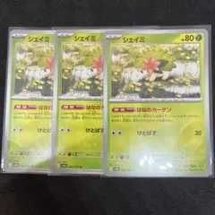 hrt1218様 リクエスト 2点 まとめ商品