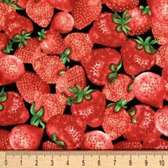 USAコットン タイムレストレジャー　イチゴ柄生地　ブラック地　ストロベリー