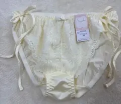 Item thumbnail for item 59cf66cd-d2e2-48c4-8562-8c140b79e1b2