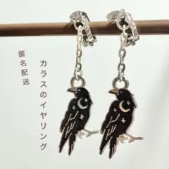 カラス　イヤリング　ピアス　ハロウィン　デイリー　ブラック×シルバー　烏　鳥