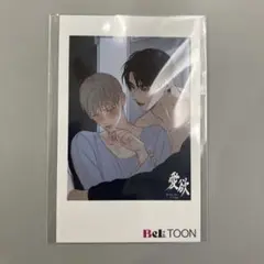 ◯ J.GARDEN J庭 春庭 ベルトゥーン beltoon　チェキ 愛欲