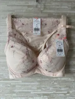 F65&M」トリンプ チャーミングラマースリムラインDeepV ブラ&ショーツ