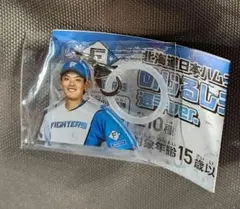 ファイターズ　野村佑希　めじるしチャーム