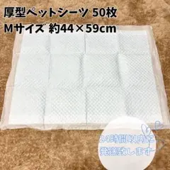 Item thumbnail for item 3f2c7809-cb63-4a15-879f-68704e6f9401