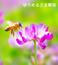 ゆうめるさま専用ページです。