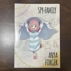 SPY×FAMILY スパイファミリー クリアファイル シークレット NANOX