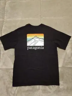patagonia ポケットTシャツ パタゴニア
