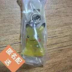 ポケモン めじるしアクセサリー2 ピカチュウ