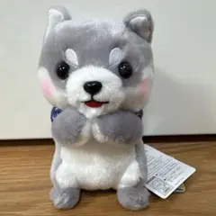 豆しば三兄弟　みんなでおねだりのサムネイル