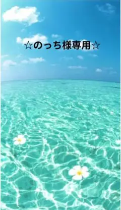 のっち様おまとめ購入商品２点