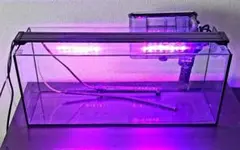 水槽60㎝ GEX Glassterior BLACK ZOOM