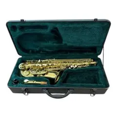 2025年最新】Kaerntner サックスの人気アイテム - メルカリ