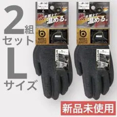 BODY TOUGHNESS 蓄熱インナーグローブ L 2組 グレー