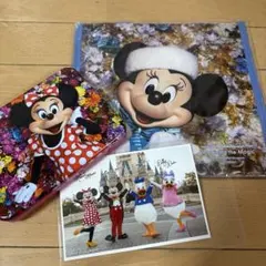 ディズニー　実写ミニー　バッグ　イマジニングザマジック　キャンディー缶　蜷川実花のサムネイル