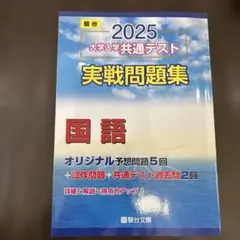 駿台2025 大学入試 共通テスト 国語 実戦問題集