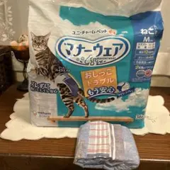 Item thumbnail for item c05d900a-38f6-43b5-a457-ed9886143e04