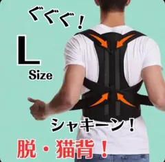 Lサイズ 猫背 矯正ベルト 姿勢サポーター 姿勢矯正 腰痛改善 美姿勢