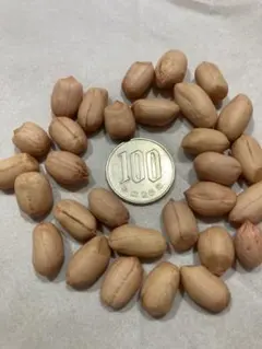 mimi様 リクエスト 2点 まとめ商品