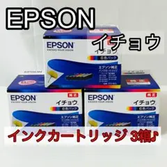 EPSON イチョウ インクカートリッジ 3箱セット [期限切れ]
