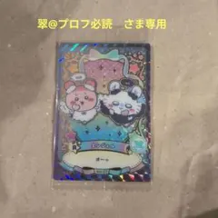 翠@プロフ必読　さま専用です