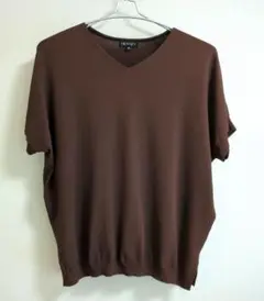 INDIVI インディヴィ ブラウン Vネック Tシャツライクニット 38
