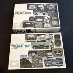 【超希少品】グンゼ産業 1/24 ハイテクモデル 自動車 2種セット